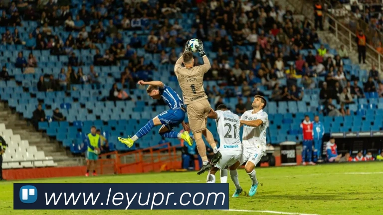 多媒体互动体验