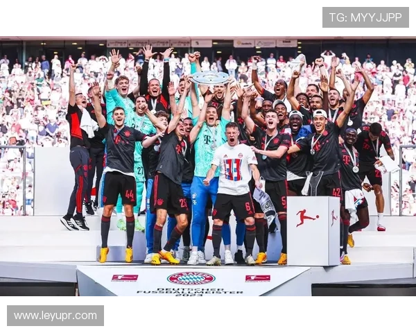 德甲联赛奖牌的正式名称及授予标准